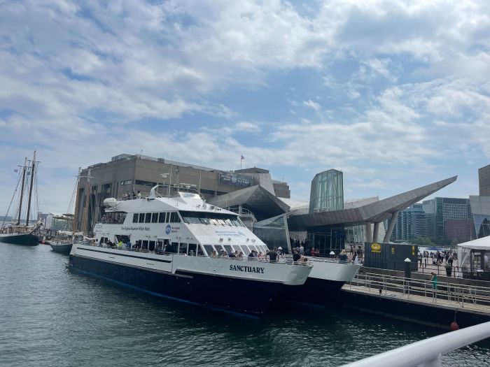 Boston Harbor Cruise Whale Watch Ferry Sanctuary