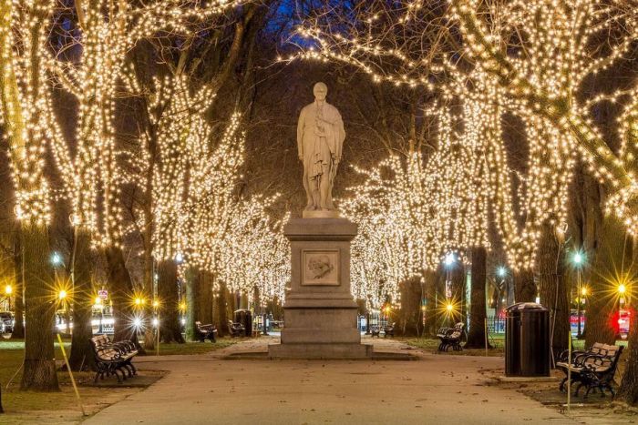 Boston Holiday Lights | Commonwealth Avenue