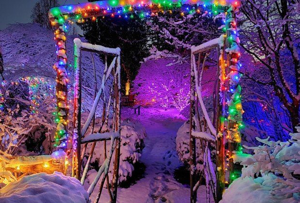 Boston Holiday Lights | Winter Lights