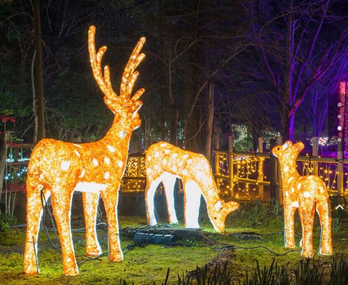 Boston Holiday Lights | Southwick Zoo Winter Wonderland